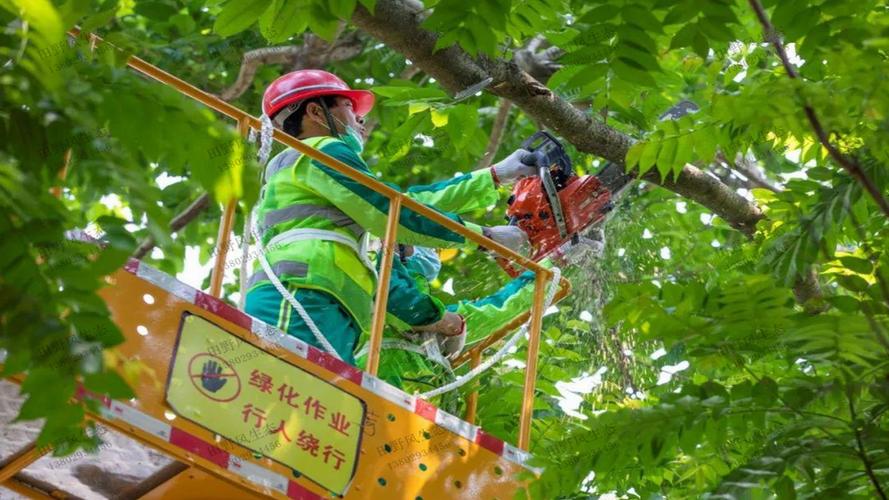 园林绿化与节能建筑：为可持续城市发展做贡献。