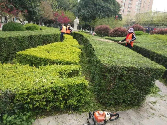 市政花镜景观绿化工程施工现场