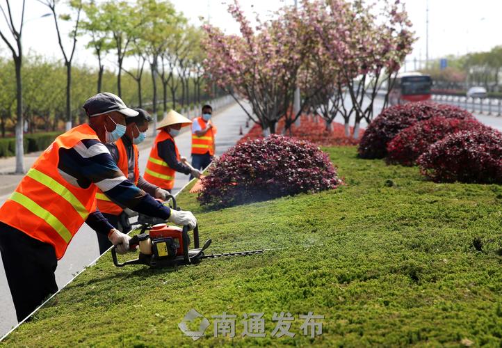 1千平闲置空地园林景观设计