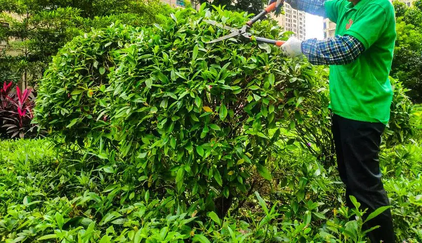 平潭富春城二期绿化工程
