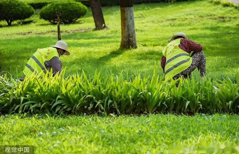 修整绿化工程合同范本